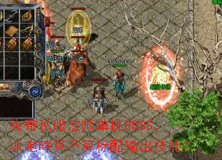 ����˽����ʦ����BOSS���������㲻�����������ܣ�