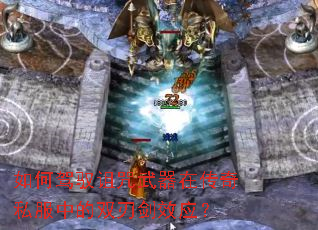 ��μ�Ԧ���������ڴ���˽���е�˫�н�ЧӦ��