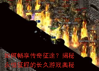 ��γ���������;�������������̵ĳ�����Ϸ����