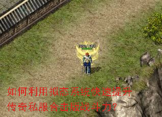 ���������̬ϵͳ������������˽���ϻ���ս������