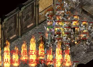 ����˽����ս֮�ã���δ����ֿ��ٳɳ�Ϊ���֣�