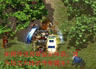 ��ο��ٻ�ȡ��Ʒ��������Ϊ�귨��½�Ĵ��������