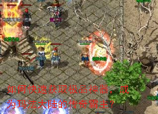 ��ο��ٻ�ȡ��Ʒ��������Ϊ�귨��½�Ĵ��������