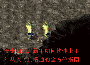 ���������������ο������֣������ŵ���ͨ��ȫ��λָ��