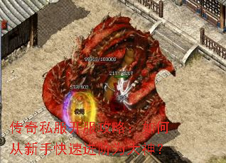 ����˽���������ԣ���δ����ֿ��ٽ���Ϊ����