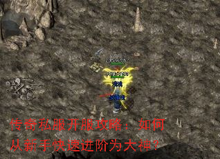 ����˽���������ԣ���δ����ֿ��ٽ���Ϊ����