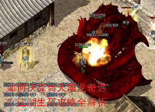 ��ξ�����������������������������ȫ����