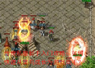 ����˽���������Ź��ԣ���ο��ٴӲ���ɳ�Ϊ��Ϸ���֣�