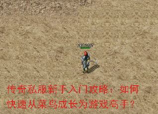 ����˽���������Ź��ԣ���ο��ٴӲ���ɳ�Ϊ��Ϸ���֣�