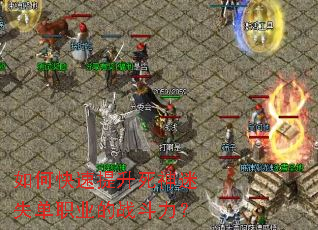 ��ο�������������ʧ��ְҵ��ս������