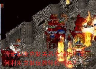 ����ְҵ���ƹ�ϵȫ������������ÿ�������������ʤ��