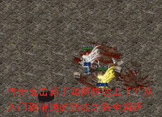 ����ϻ�������ο������֣������ŵ���ͨ������֮·ȫ����