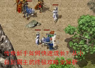 ����������ο��ٳɳ�����С�׵��������ռ�����ȫ����