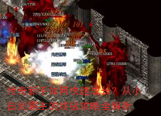 ����������ο��ٳɳ�����С�׵��������ռ�����ȫ����