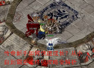 ����������ο��ٳɳ�����С�׵��������ռ�����ȫ����