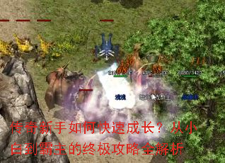 ����������ο��ٳɳ�����С�׵��������ռ�����ȫ����