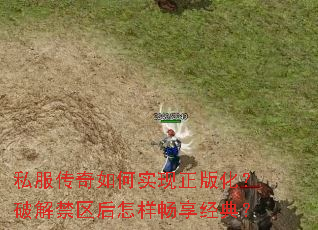 ˽���������ʵ�����滯���ƽ�����������������䣿