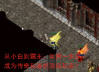 ��С�׵����������һ������Ϊ����˽���Ķ�����ң�