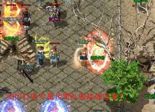 ��δ���ר������˽���۷�汾��