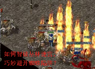 ������ƴ����Թ�������ܿ�֩�����壿