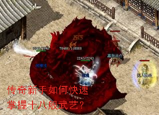 ����������ο�������ʮ�˰����գ�