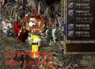 ����������ο�������ʮ�˰����գ�