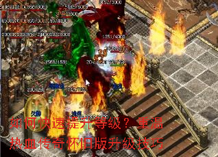 ��ο��������ȼ���������Ѫ���滳�ɰ���������