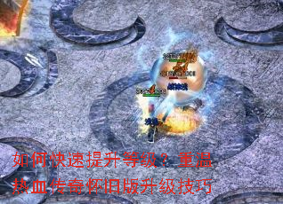 ��ο��������ȼ���������Ѫ���滳�ɰ���������