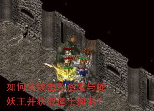 ��θ�Ч��ɱ��ħ������������ȡ��ʿ���飿