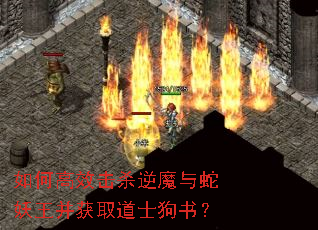 ��θ�Ч��ɱ��ħ������������ȡ��ʿ���飿