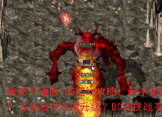 ���滥ͨ��iOS��ս���ԣ�������ο������ţ�װ��������Ч������BOSS��ս�кμ��ɣ�