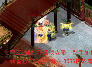 ���滥ͨ��iOS��ս���ԣ�������ο������ţ�װ��������Ч������BOSS��ս�кμ��ɣ�