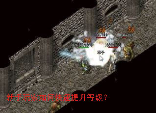 ���������ο��������ȼ���