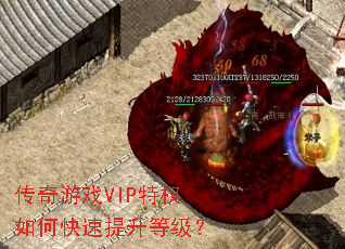 ������ϷVIP��Ȩ��ο��������ȼ���