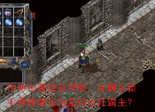 ����˽�����ҹ��ԣ���δ����ֿ��ٳɳ�Ϊ�����½������