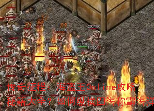 �������̣�������Online�����ؼ���ȫ������ݺ��ĺ��ưԺ���