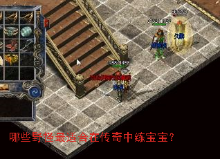 ��ЩҰ�����ʺ��ڴ�������������