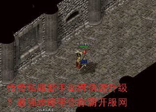 ����˽��������ο�����������ǿ���Դ���ưԿ�����