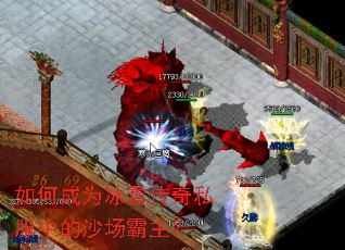 ��γ�Ϊ��ѩ����˽���е�ɳ��������