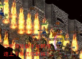 ������Ϸ������ο������ֲ����׷���