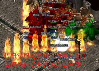 ����˽��������ƹ��ԣ�������ο�������ս���ư�ȫ����