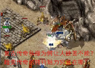 ���Ŵ���˽��Ϊ���������ղ��ܣ����䴫��Ķ��������������ģ�