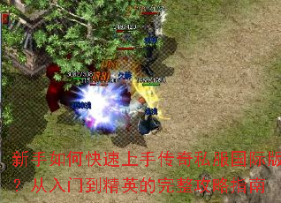 ������ο������ִ���˽�����ʰ棿�����ŵ���Ӣ����������ָ��