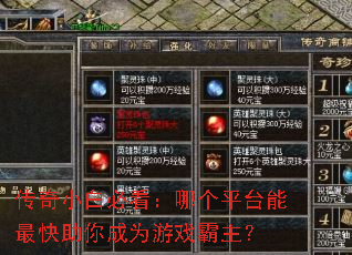 传奇小白必看:哪个平台能最快助你成为游戏霸主? 传奇小白必看:哪个平台能最快助你成为游戏霸主?