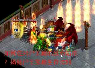 ���Ӧ��ʬ������������壿����ʬ���������淨��