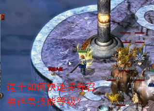 道士如何快速提升召唤神兽技能等级? 道士如何快速提升召唤神兽技能等级?