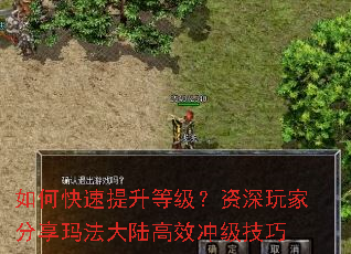 如何快速提升等级?资深玩家分享玛法大陆高效冲级技巧 如何快速提升等级?资深玩家分享玛法大陆高效冲级技巧