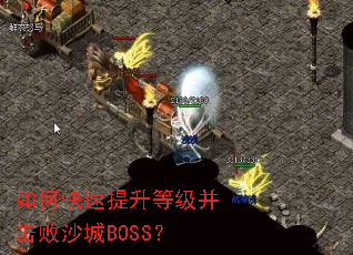 ��ο��������ȼ�������ɳ��BOSS��