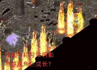 �ɾ���ƺ����Ӱ����Ϸ��ɫ�ɳ���