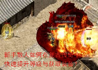 ����ɢ������ڸ��Ŵ����п��������ȼ����ȡװ����